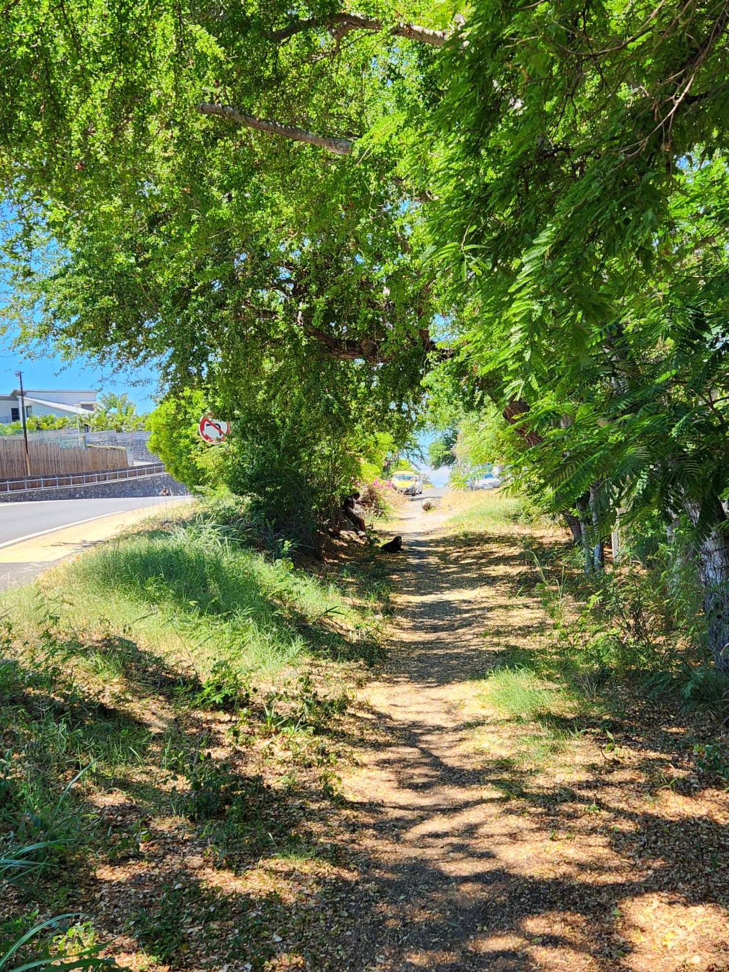 Appartamento Cassiopee Saint-Gilles-les Bains Esterno foto